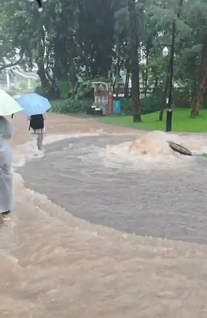 暴雨围城难阻电竞热血，深圳超1300座公园关闭竟催生线下观赛新风口？